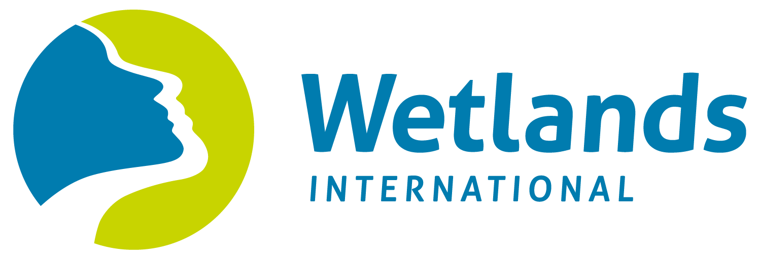 干潟ベントスフィールド図鑑